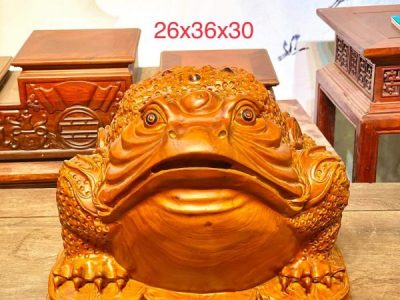 Bộ 3 Minh Đế Sưa già
