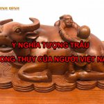 tuong trau phong thuy