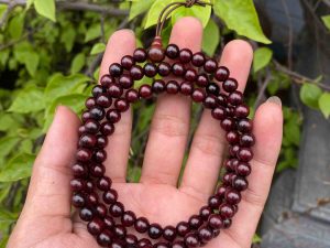 tieu-diep-tu-dan-tay-an-108-6-ly-do-tim-1