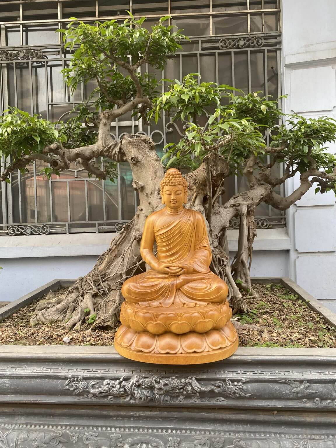 Tượng Phật Thích Ca Mâu Ni gỗ Gõ vàng 61x42x38