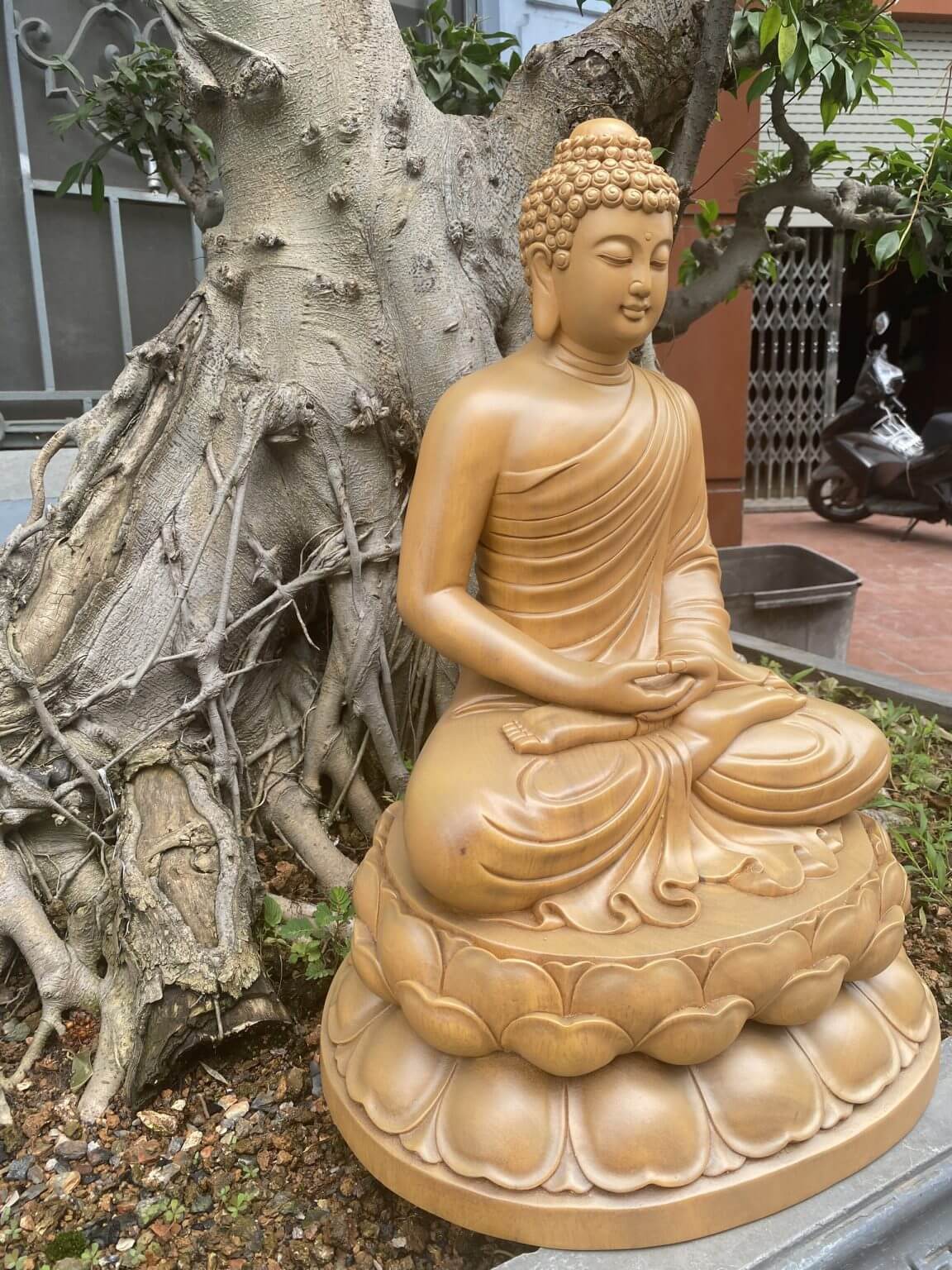 Tượng Phật Thích Ca gỗ Gõ vàng 50 x 34 x 28 cm - Ảnh 4