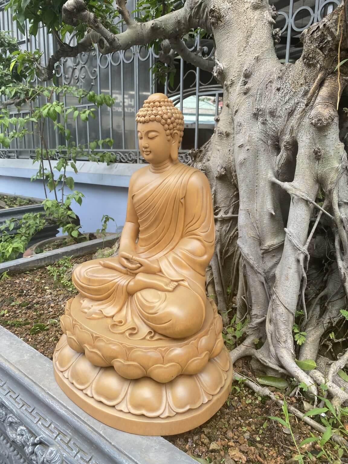 Tượng Phật Thích Ca gỗ Gõ vàng 50 x 34 x 28 cm - Ảnh 5